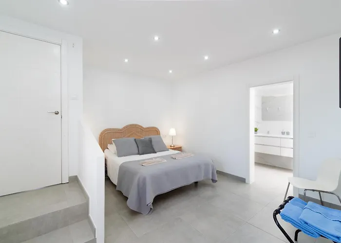 Michelle - Lh114 By Now Ltd فيلة *